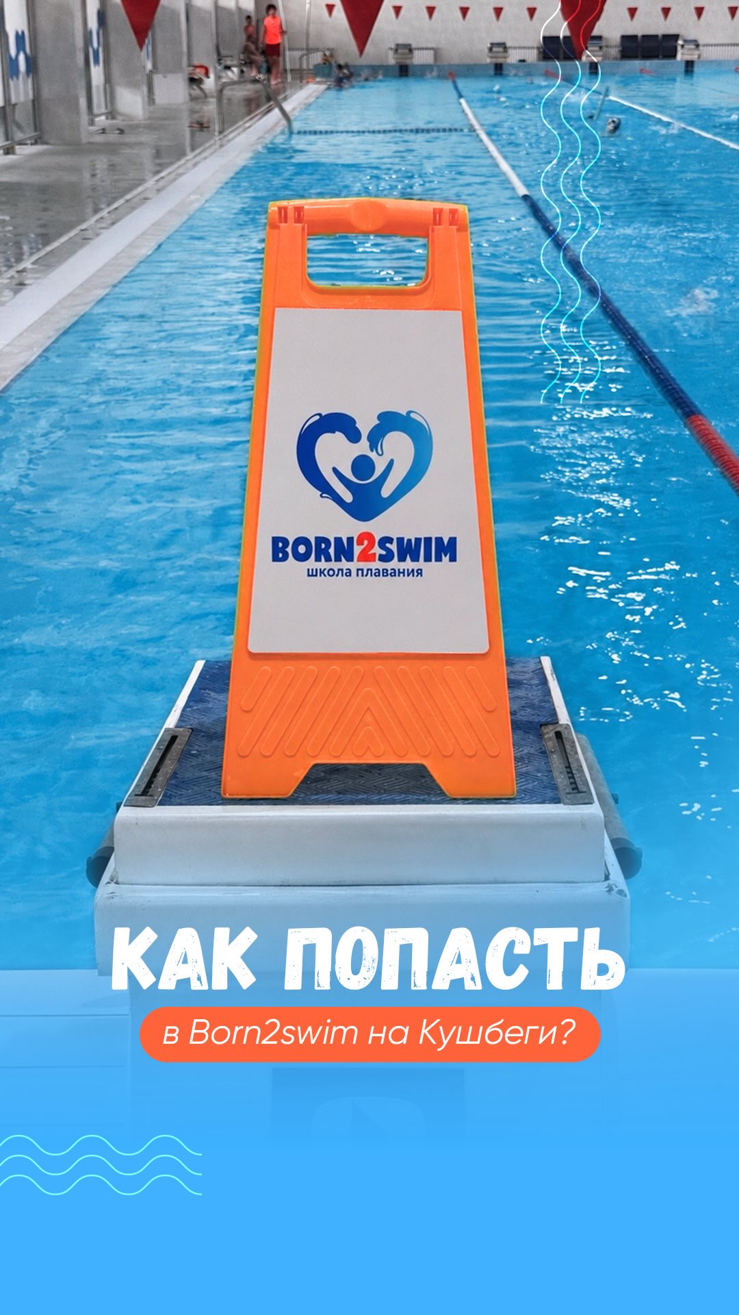Как найти Born2Swim во Дворце водных видов спорта